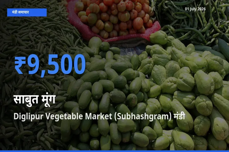आज का मंडी भाव: साबुत मूंग के सबसे ज़्यादा दाम Diglipur Vegetable Market (Subhashgram) में