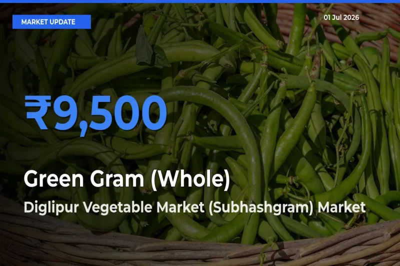 Green Gram (Whole) Mandi Rate Today: Diglipur Vegetable Market (Subhashgram) Tops the List