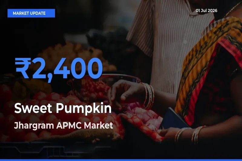 Jhargram APMC Emerges as Top Mandi for Sweet Pumpkin Prices Today