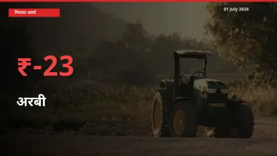 किसानों की चिंता बढ़ी! स्थानीय मंडी में अरबी 22.8% गिरा