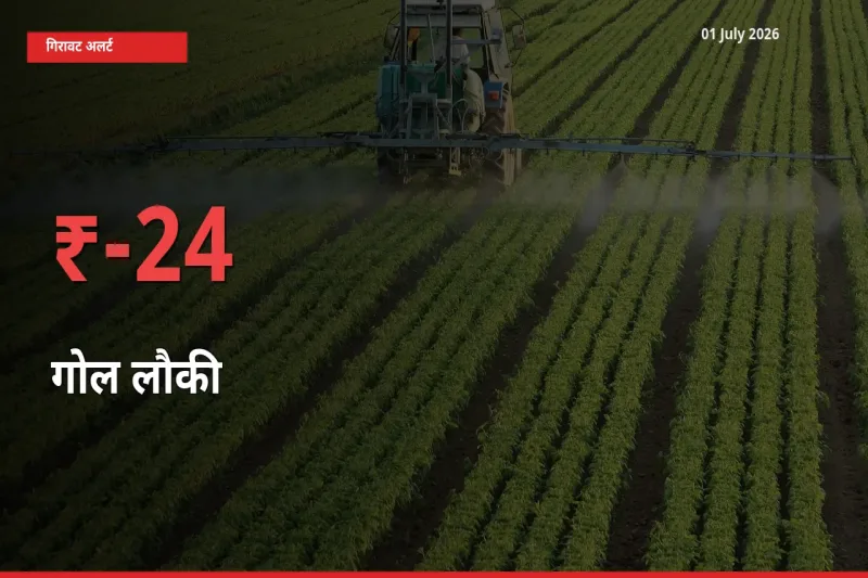 स्थानीय मंडी में गोल लौकी के दाम अचानक 24.44% गिरे, किसानों की चिंता बढ़ी