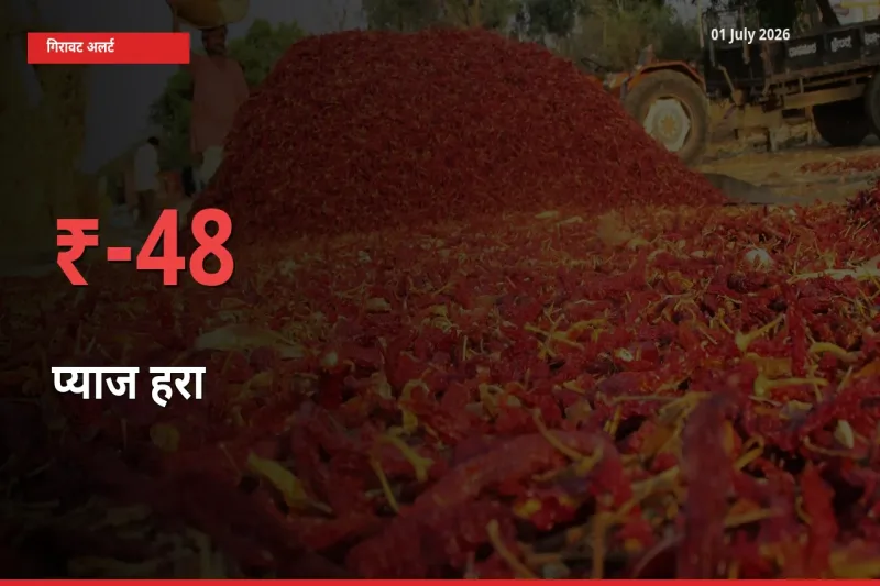 बाज़ार संकेत: प्याज हरा के भाव मंडी में 48.37% नीचे