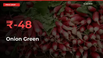 Sharp Fall! Onion Green Prices Plunge 48.37% in a Day at Key Mandis