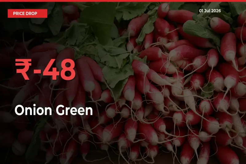 Sharp Fall! Onion Green Prices Plunge 48.37% in a Day at Key Mandis