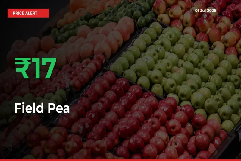 Field Pea Rises 17.01% at Mandis