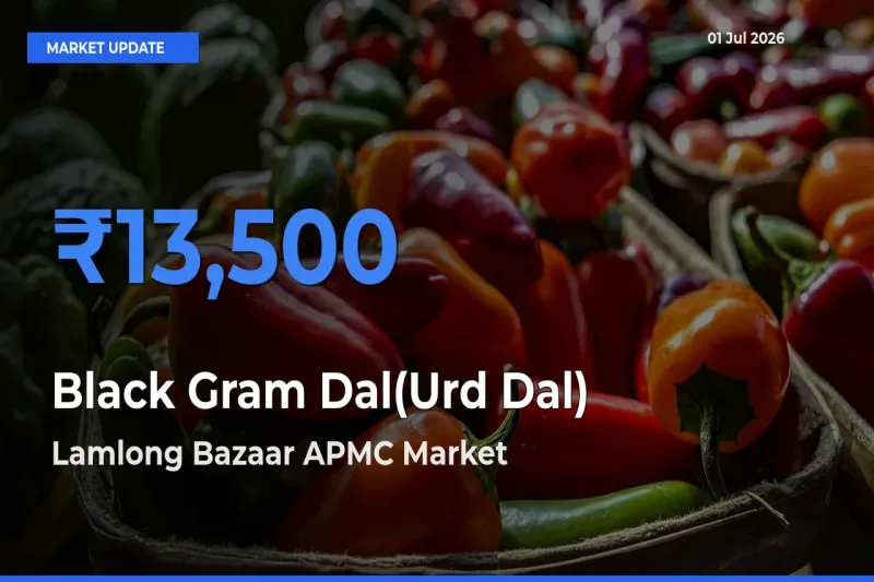 Lamlong Bazaar APMC Emerges as Top Mandi for Black Gram Dal(Urd Dal) Prices Today