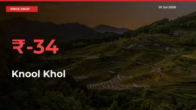Knool Khol Prices Drop 34.33% in 24 Hours at Major Mandis