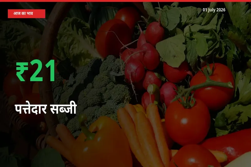 स्थानीय मंडी में पत्तेदार सब्जी के दाम अचानक 21.21% उछले, किसान सतर्क