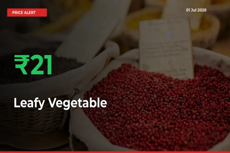 Sharp Jump! Leafy Vegetable Prices Climb 21.21% in 24 Hours at Key Mandis