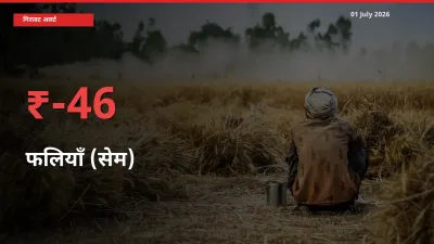 स्थानीय मंडी में फलियाँ (सेम) के दाम अचानक 45.96% गिरे, किसानों की चिंता बढ़ी