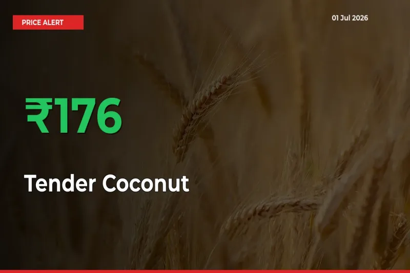 Tender Coconut Rises 175.93% at Mandis