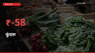 स्थानीय मंडी में कुंदरू के दाम अचानक 57.69% गिरे, किसानों की चिंता बढ़ी