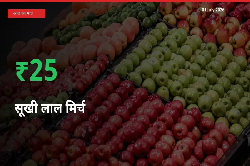 बाज़ार संकेत: सूखी लाल मिर्च के भाव मंडी में 24.53% ऊपर