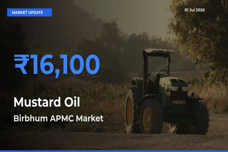 Birbhum APMC Tops Mustard Oil Mandi Rates Today