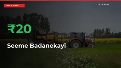 Seeme Badanekayi Rises 20.08% at Mandis