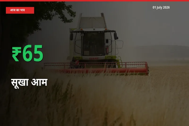 स्थानीय मंडी में सूखा आम के दाम अचानक 65.14% उछले, किसान सतर्क