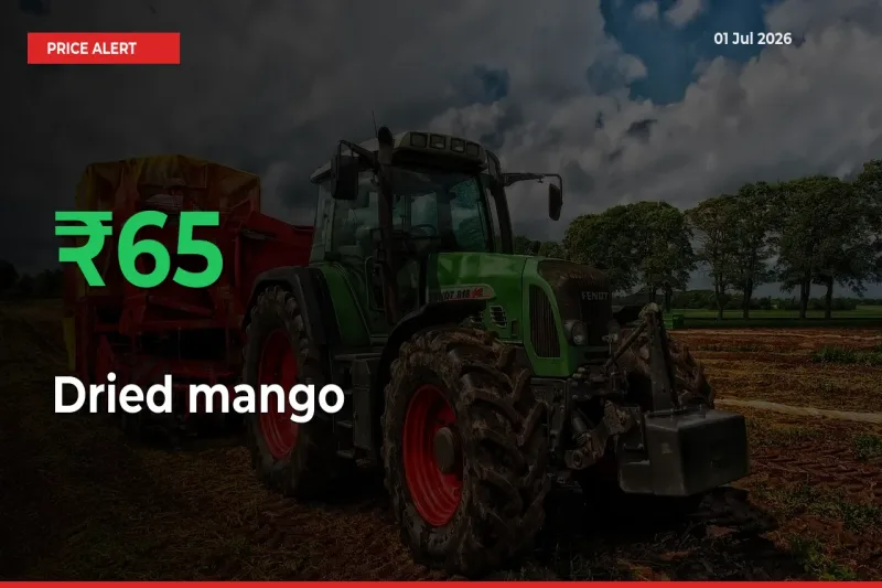 Dried mango Prices Rise 65.14% in a Day at Major Mandis