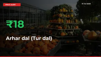 Arhar dal (Tur dal) Mandi Rate Today: Prices Jump 18.43% at Market