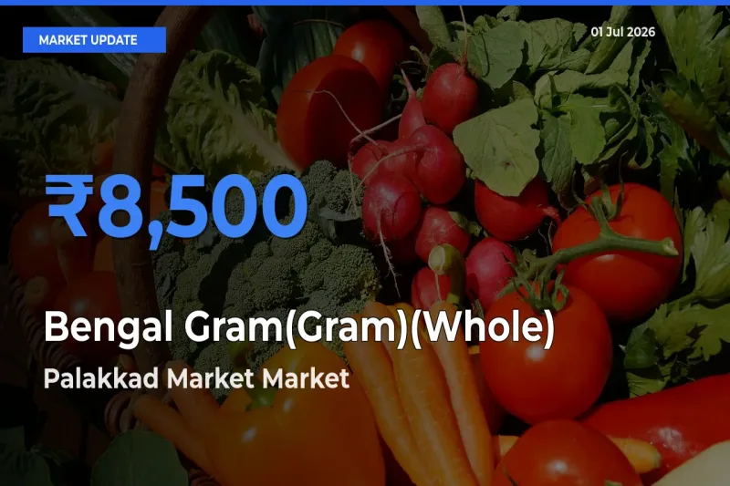Palakkad Market Leads as Top Mandi for Bengal Gram(Gram)(Whole) Prices