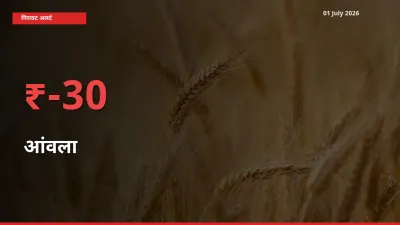 किसानों की चिंता बढ़ी! स्थानीय मंडी में आंवला 29.98% गिरा
