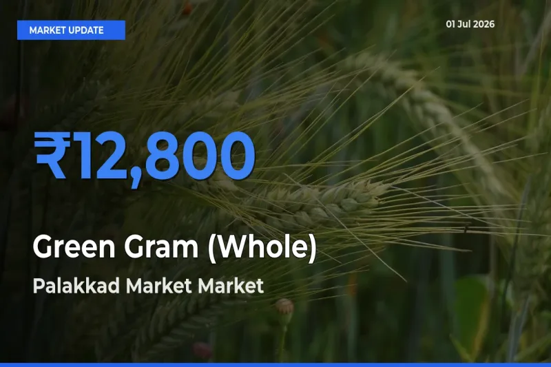 Palakkad Market Emerges as Top Mandi for Green Gram (Whole) Prices Today