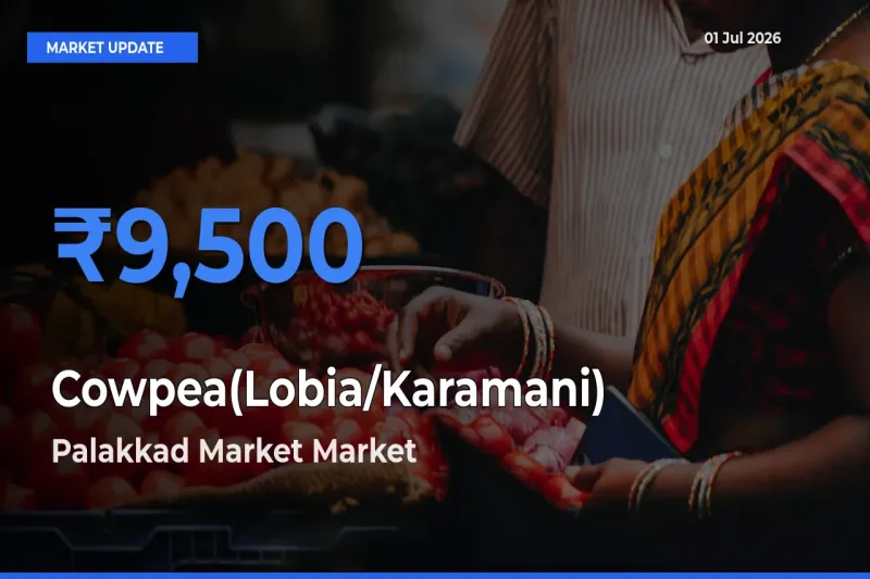 Palakkad Market Tops Cowpea(Lobia/Karamani) Mandi Rates Today