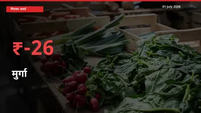 स्थानीय मंडी में मुर्गा के दाम अचानक 26.32% गिरे, किसानों की चिंता बढ़ी