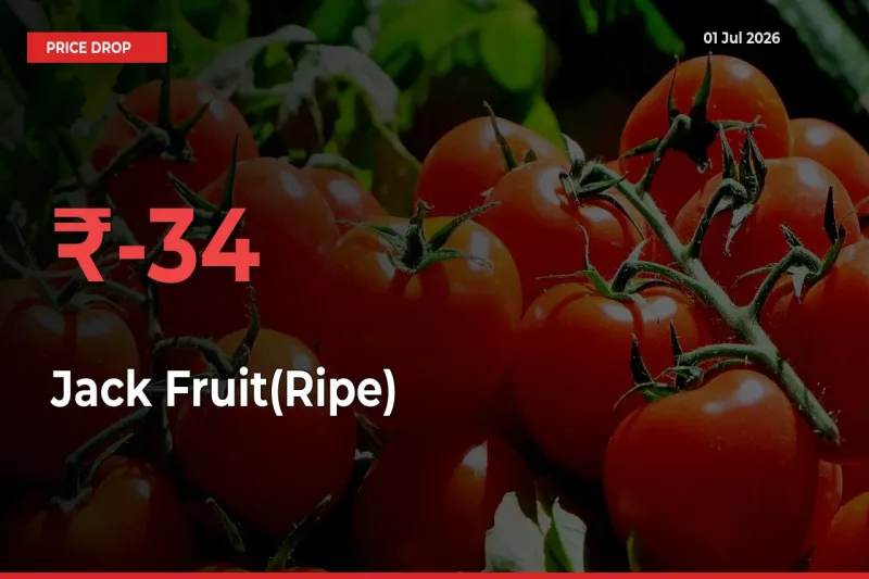 Jack Fruit(Ripe) Falls 33.64% at Mandis