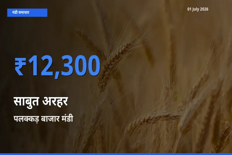 किसानों की पसंद बना पलक्कड़ बाजार, साबुत अरहर के सबसे अच्छे दाम