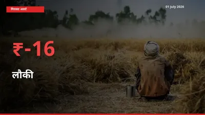 अचानक झटका! मंडी में लौकी के दाम 15.91% टूटे