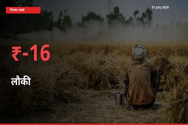 अचानक झटका! मंडी में लौकी के दाम 15.91% टूटे