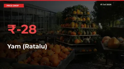 27.64% Drop in Yam (Ratalu) Prices – Mandi Sees Sudden Fall
