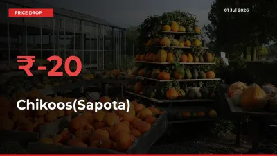 Chikoos(Sapota) Prices Drop 20.28% – July 01 Market Update from Mandis