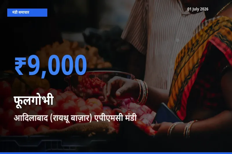 आज फूलगोभी के सबसे ऊँचे दाम ₹9,000 आदिलाबाद (रायथू बाज़ार) एपीएमसी मंडी में