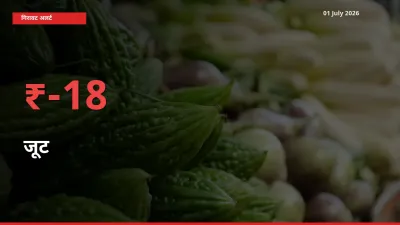 अचानक झटका! मंडी में जूट के दाम 18.31% टूटे