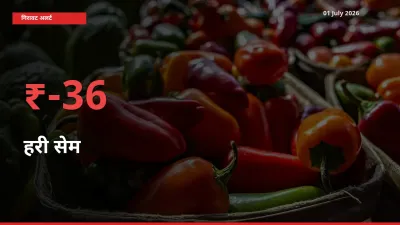 किसानों की चिंता बढ़ी! स्थानीय मंडी में हरी सेम 36.08% गिरा