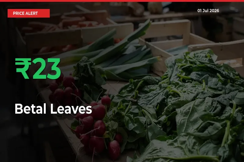 Farmers Cheer as Betal Leaves Prices Surge 23.06% in Local Mandis