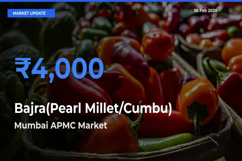 Top Performer! Mumbai APMC Offers Best Bajra(Pearl Millet/Cumbu) Price Today