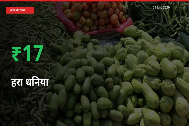 हरा धनिया के दाम प्रमुख मंडी में 17.07% बढ़े, 24 घंटे में बड़ा बदलाव