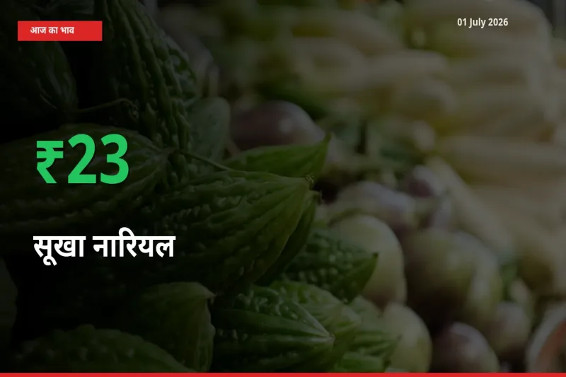 किसानों के लिए खुशखबरी! स्थानीय मंडी में सूखा नारियल 23.2% उछला