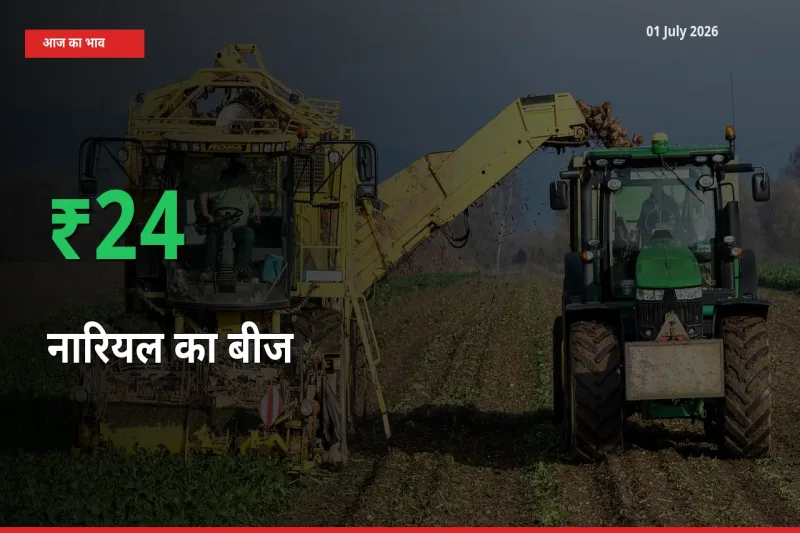 बाज़ार संकेत: नारियल का बीज के भाव मंडी में 23.89% ऊपर
