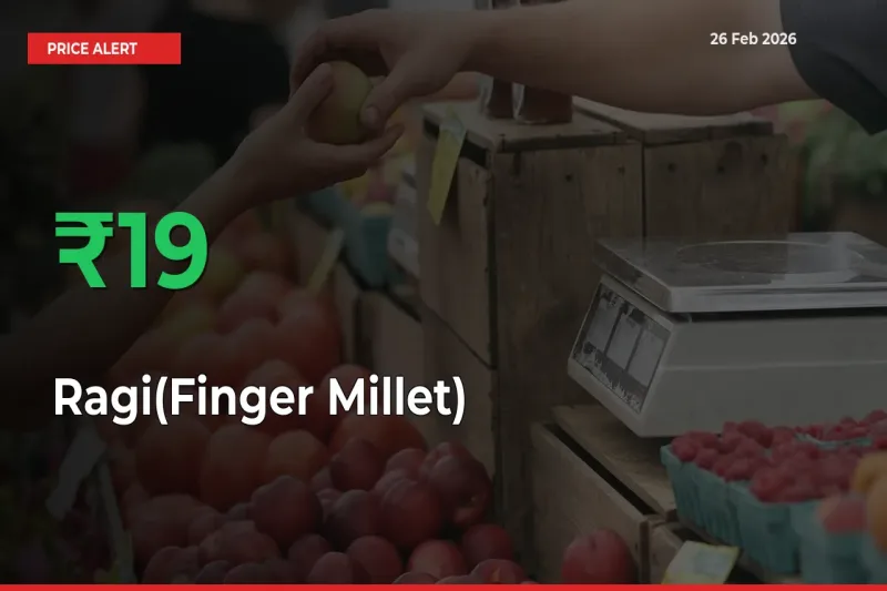 Why Ragi(Finger Millet) Prices Rose 18.69% in a Day at Mandis