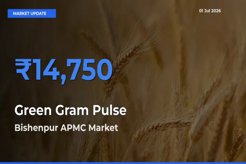 Top Performer! Bishenpur APMC Offers Best Green Gram Pulse Price Today
