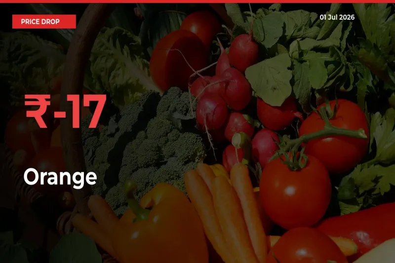 Orange Prices Drop 17.39% – July 01 Market Update from Mandis