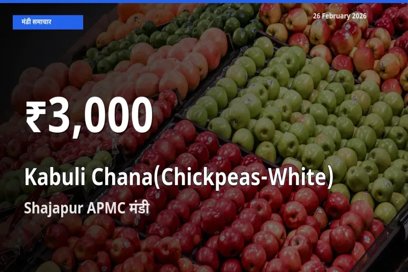 बाज़ार संकेत: Kabuli Chana(Chickpeas-White) के भाव Shajapur APMC में 30 दिन के निचले स्तर पर