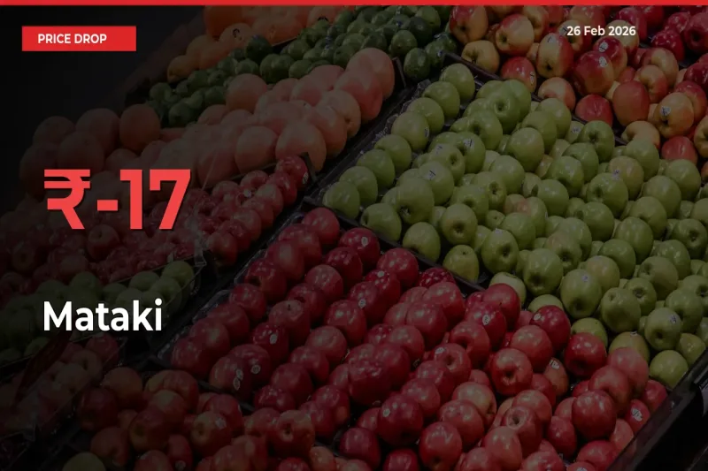 Sharp Fall! Mataki Prices Plunge 17.05% in a Day at Key Mandis
