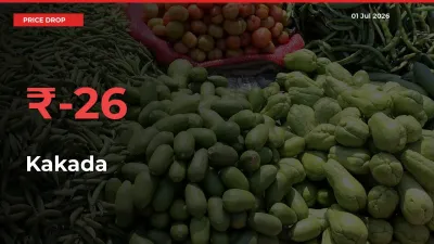 This Mandi Records 25.63% Fall in Kakada Prices