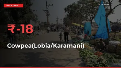 This Mandi Records 18.44% Fall in Cowpea(Lobia/Karamani) Prices