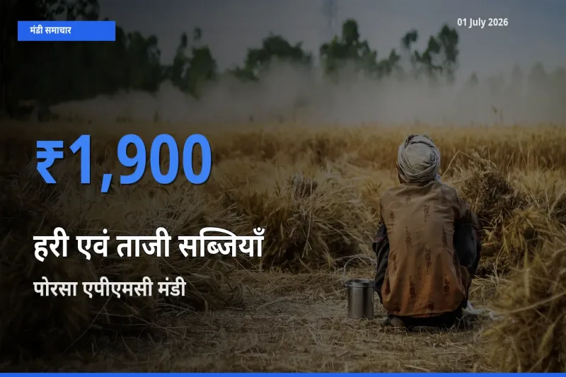 किसानों की पसंद बना पोरसा एपीएमसी, हरी एवं ताजी सब्जियाँ के सबसे अच्छे दाम