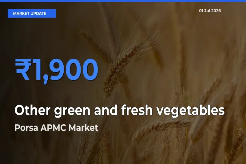 Porsa APMC Tops Other green and fresh vegetables Rates – July 01 Market Update